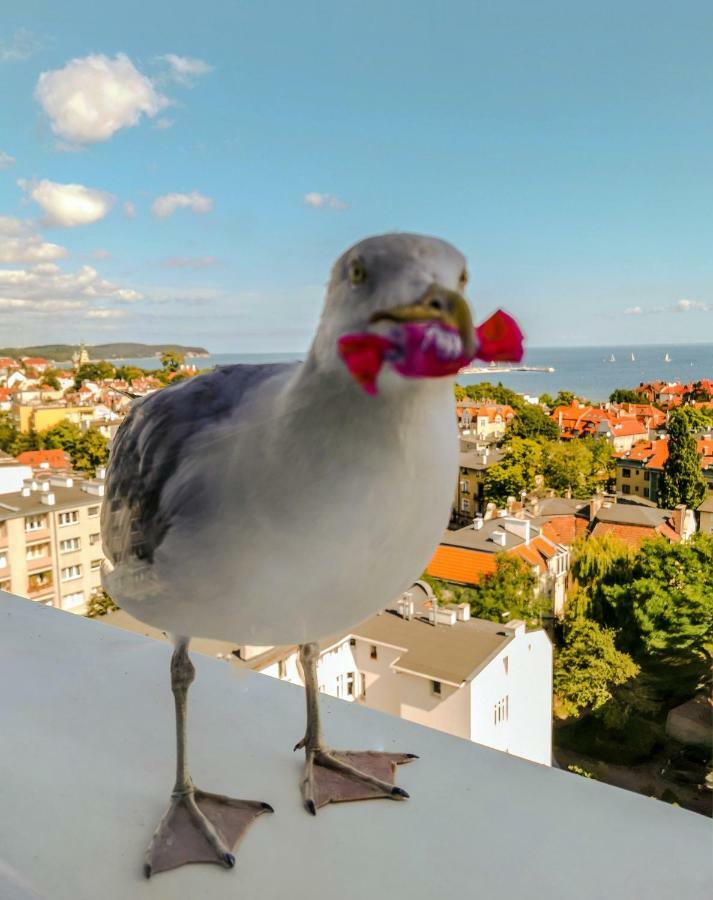 Pokoje Przy Plazy Z Widokiem Na Morze Σόποτ Εξωτερικό φωτογραφία
